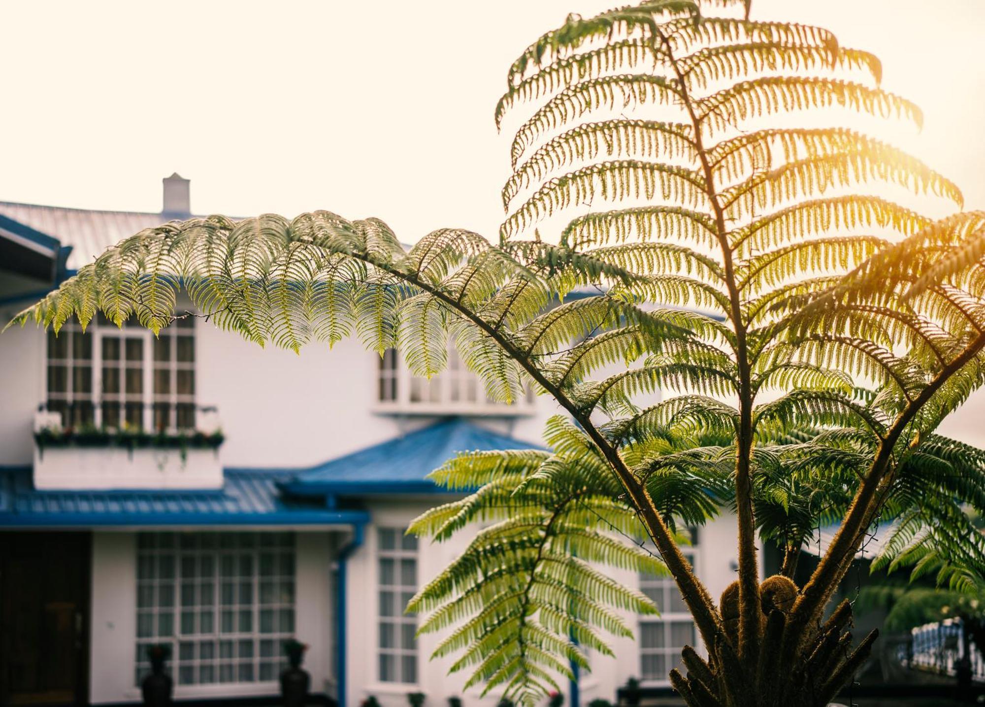 Aaradhya Nuwara Eliya Hotel Buitenkant foto